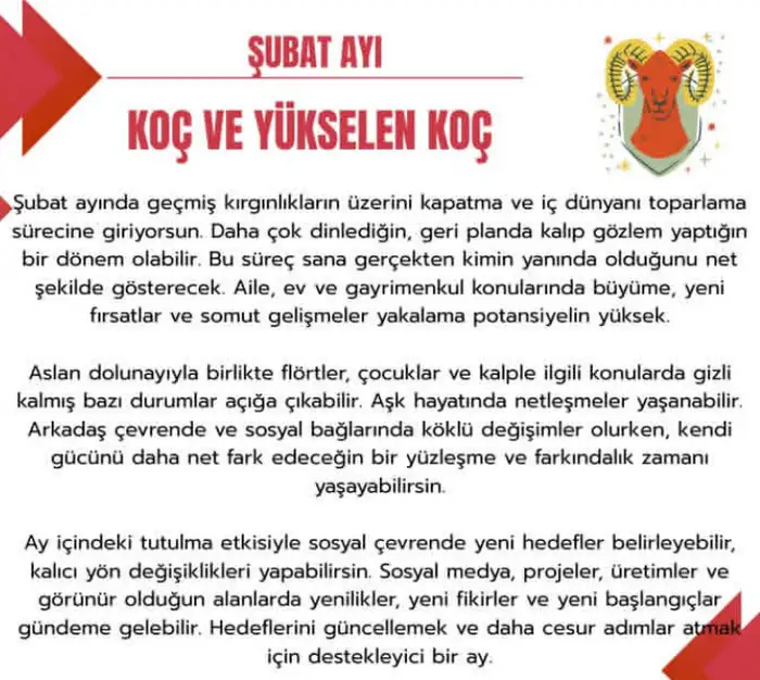 ş1 (2).webp