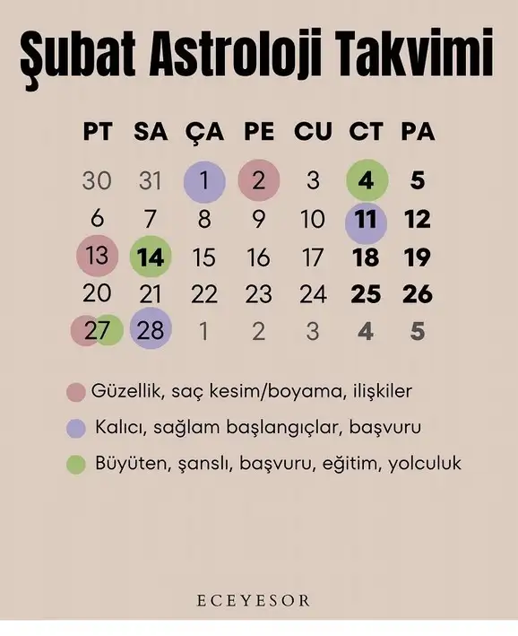 ş1.jpg