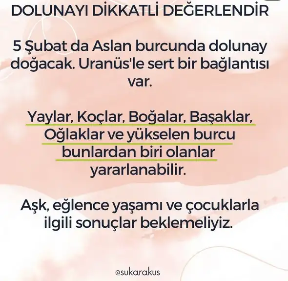 ş10 (2).webp