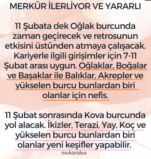 ş10 (3).webp