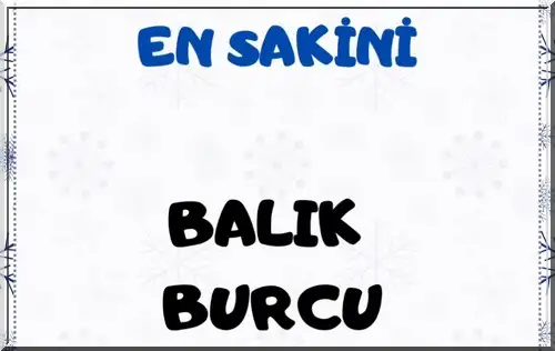 ş11 (13).webp