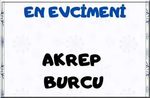 ş11 (9).webp