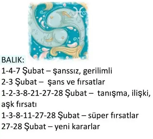 ş12 (13).webp