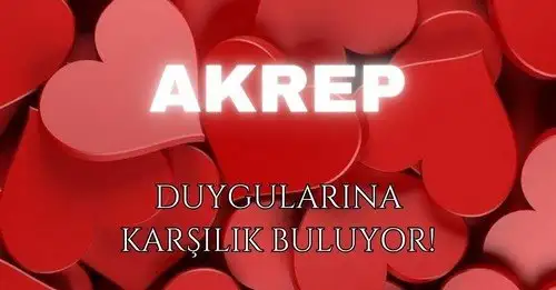 ş12 (21).webp