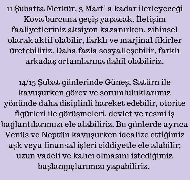 ş12 (5).jpg
