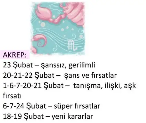 ş12 (9).webp