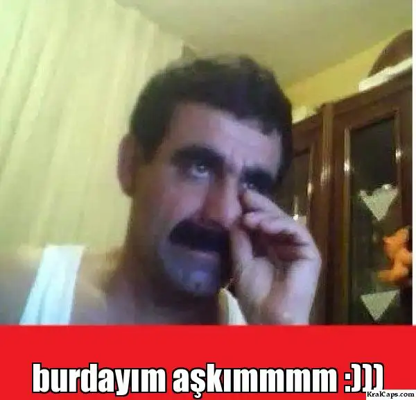 s1ht2l.webp