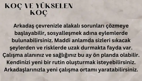 ş3 (1).webp