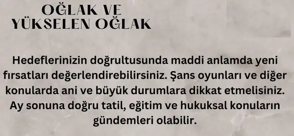 ş3 (10).webp