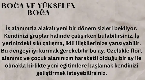 ş3 (2).webp