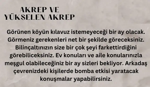 ş3 (8).webp
