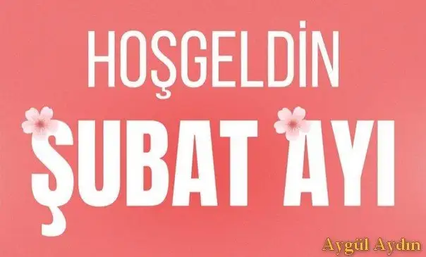 ş5 (1).webp