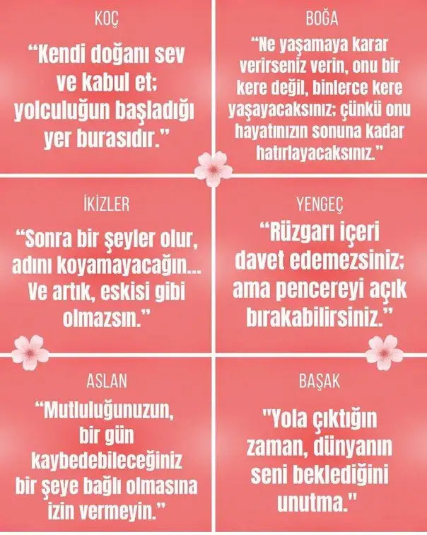 ş5 (2).webp
