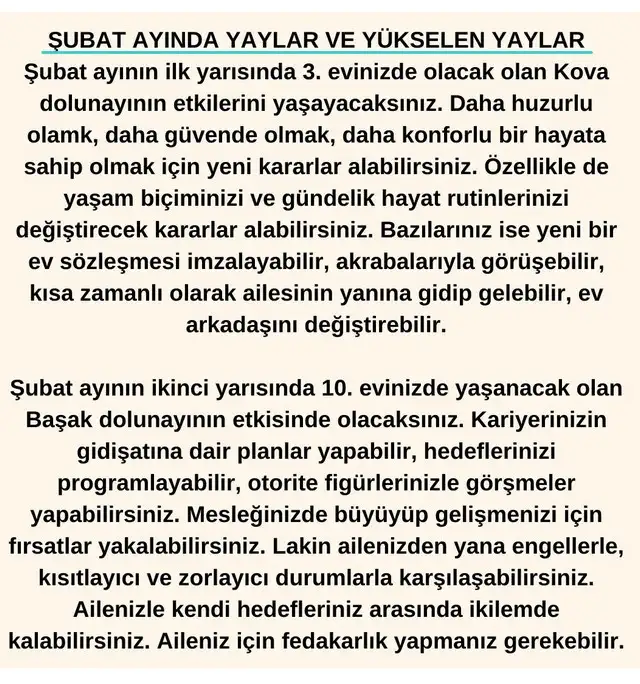 ş6 (10).webp