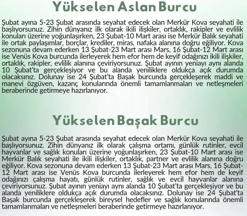 ş8 (6).webp