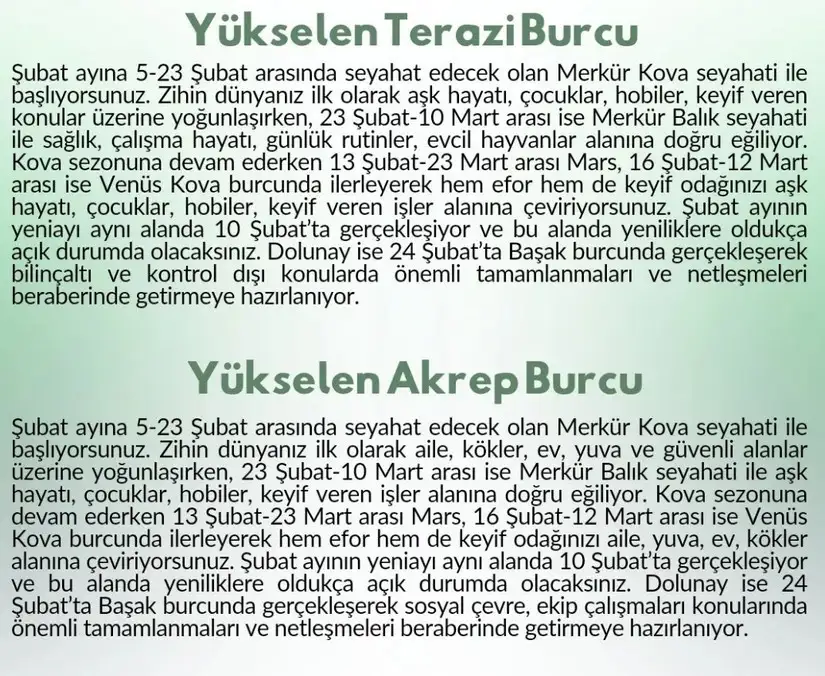 ş8 (7).webp