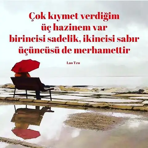 sadelik.webp