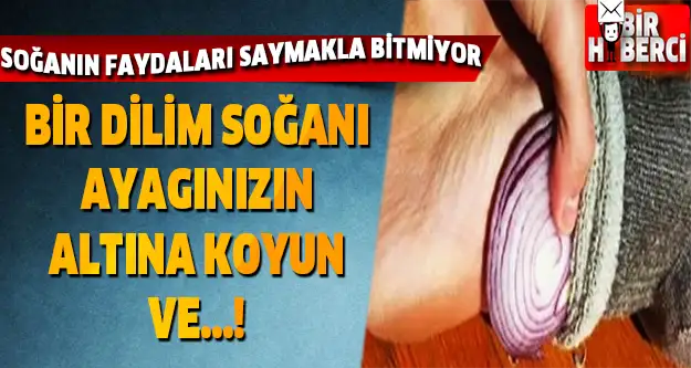 SAGANN-FAYDALAR-SAYMAKLA-BTMYOR.webp