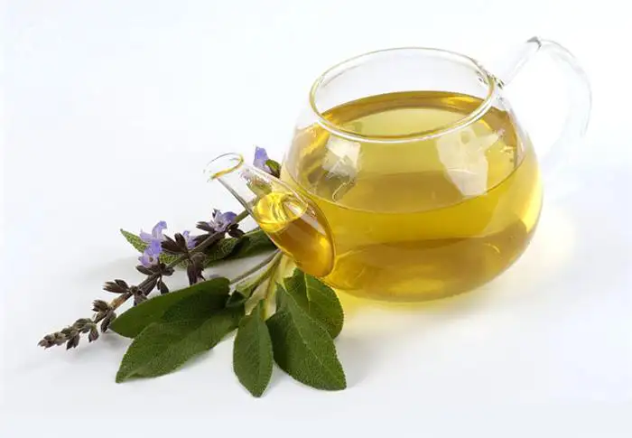 sagetea1.webp