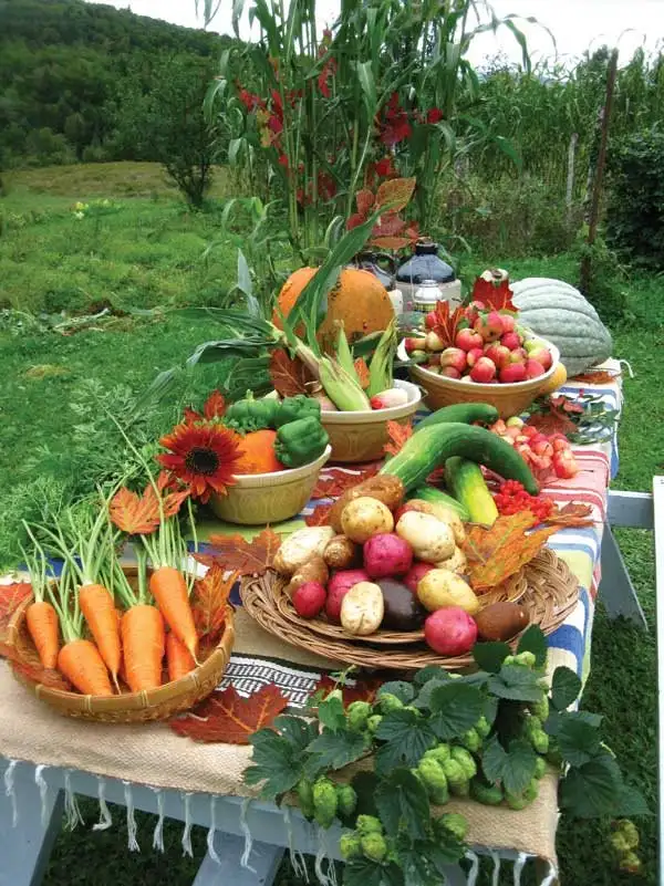 Sagligimizin-Koruyucusu-Organik-Tarim-organik-tarim-3-jpg_buyuk.webp