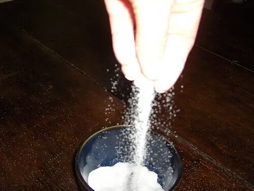 salt3.webp