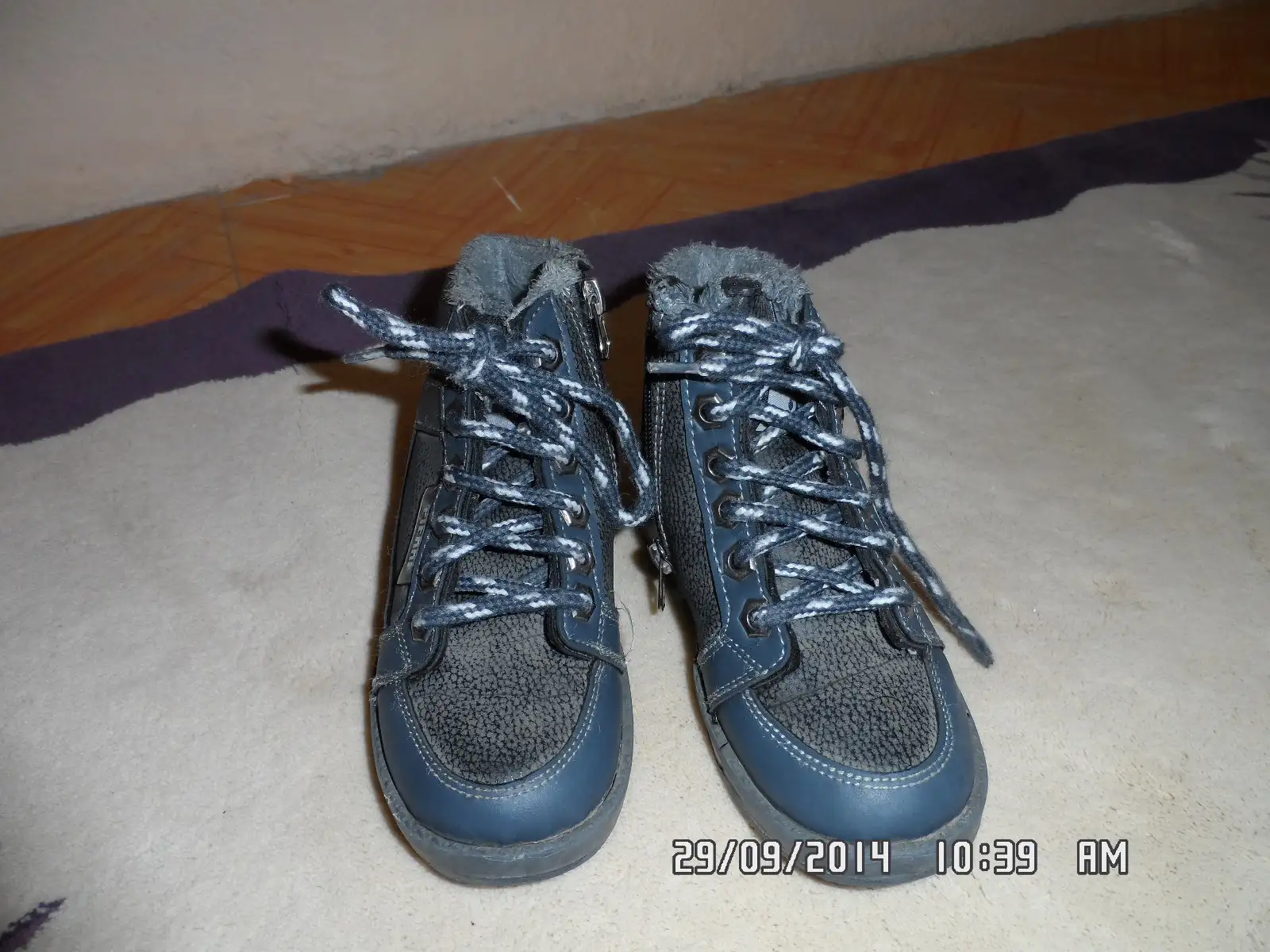 SAM_0706.webp