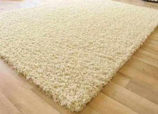 saray shaggy.webp