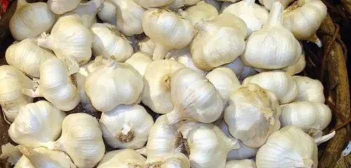 sarimsagin-bu-faydasina-cok-sasiracaksiniz-37.webp