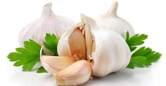 sarimsak_yemek_icin_9_neden_h73054.webp