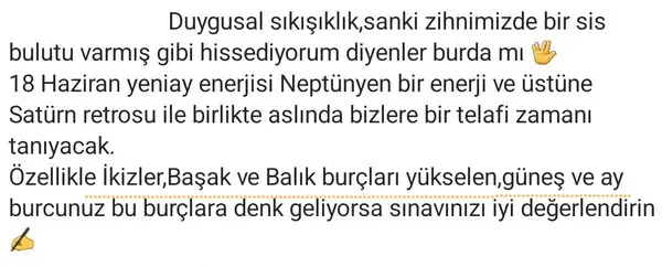 sat (2).webp