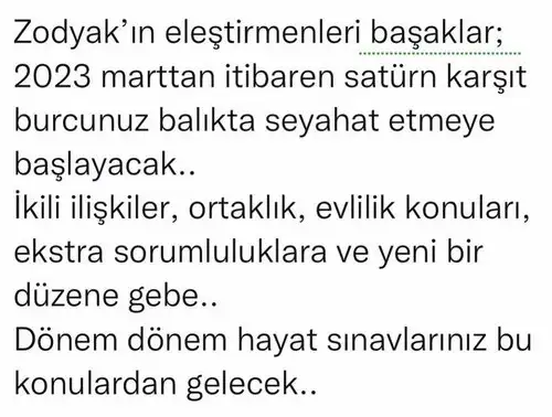 sat bal astroyeliz (4).webp