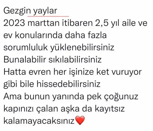 sat bal astroyeliz (6).webp
