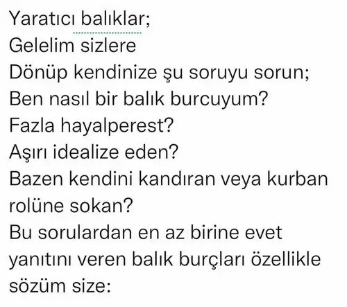 sat bal astroyeliz (7).webp