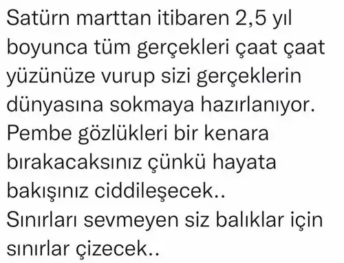 sat bal astroyeliz (8).webp