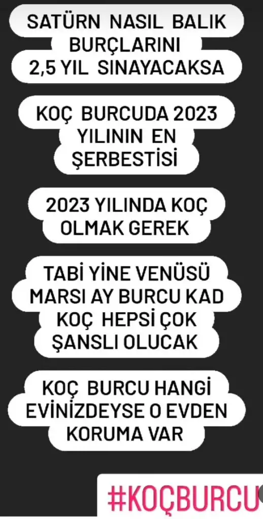 sat bal.webp