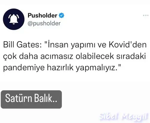 sat bal.webp