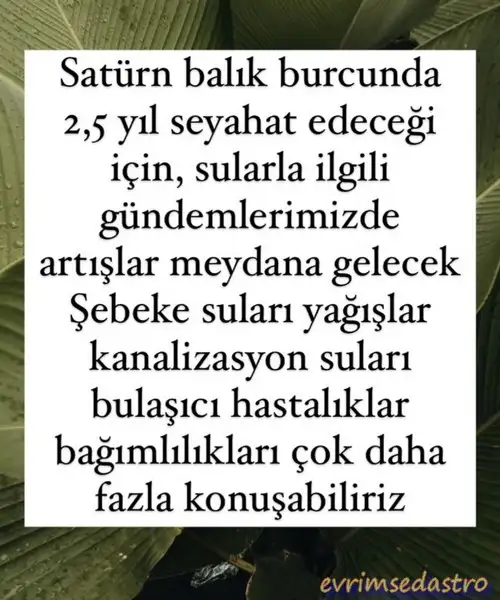 sat bal.webp