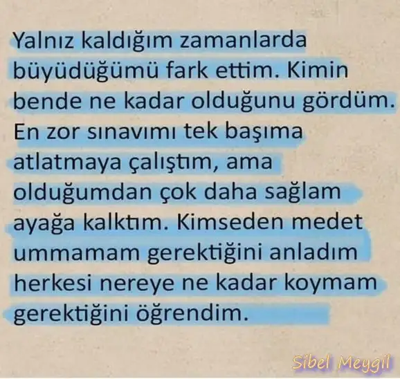sat bal.webp