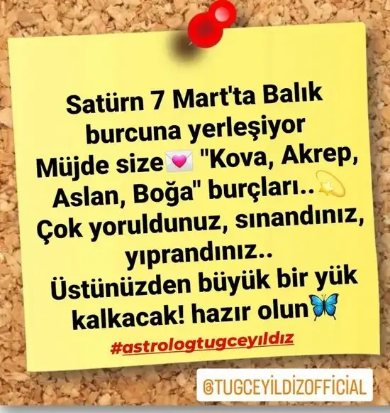 sat bal33.webp
