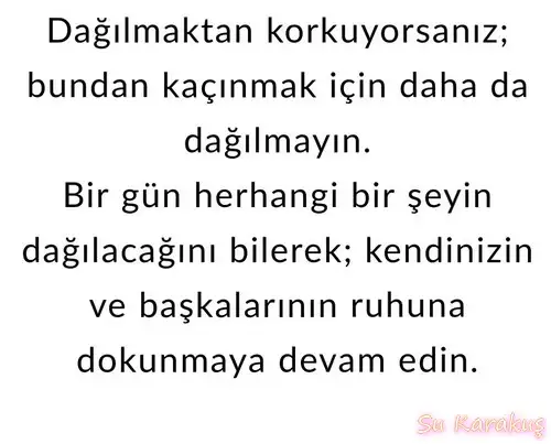 sat bal7 (2).webp