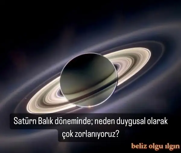 sat bal742 (1).webp