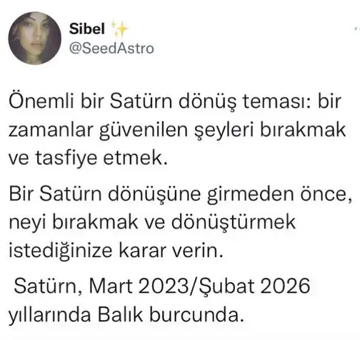 sat bal8 (1).webp