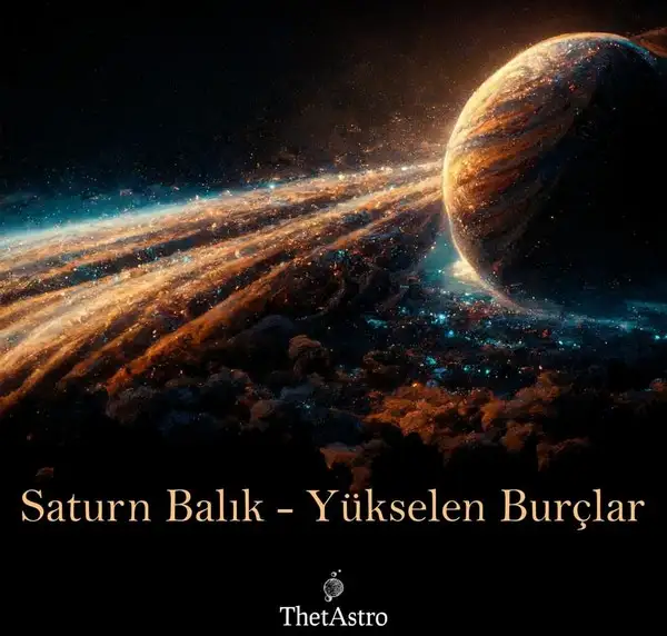 sat bal8 (1).webp