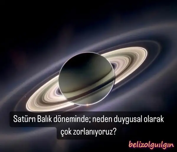 sat bal8 (1).webp