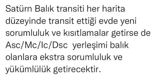 sat bal8 (5).webp