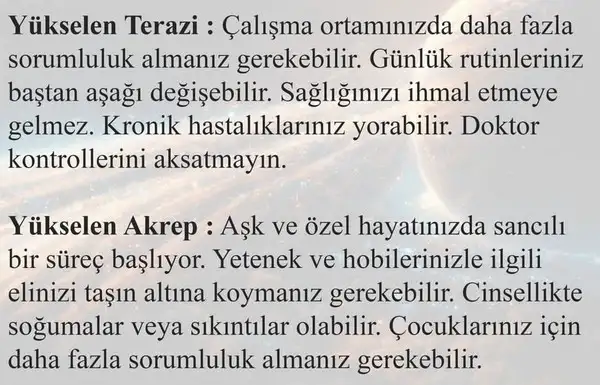 sat bal8 (5).webp