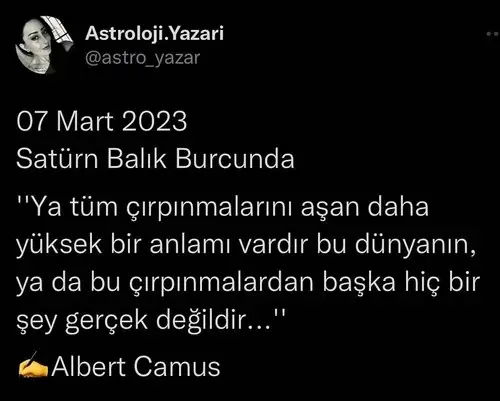 sat bal8.webp