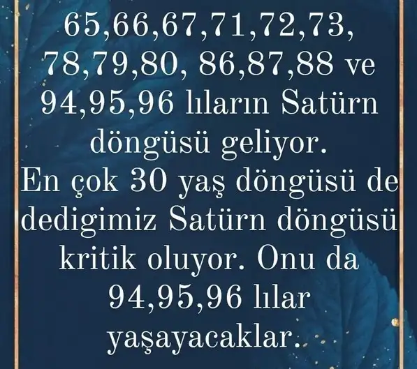 sat bal9 (4).webp