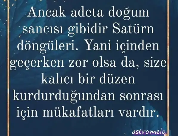 sat bal9 (6).webp