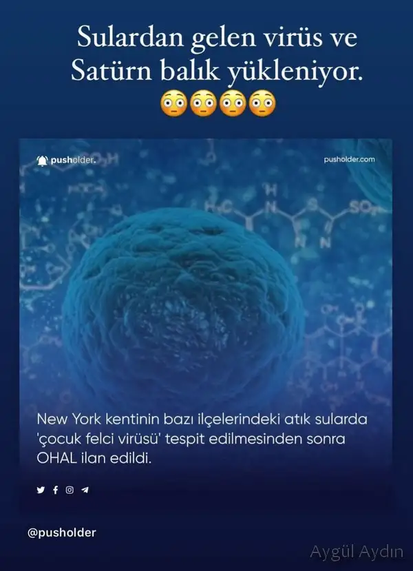 sat balık.webp